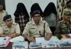 Chaibasa Arrest: गोयराबेड़ा जंगल में पुलिस की लाइव घेराबंदी, ठेकेदार से वाट्सऐप लेवी वसूलने आए पीएलएफआई के 3 शूटर लोड पिस्टल के साथ दबोचे