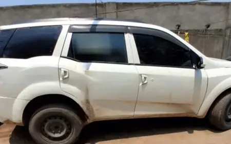 Kapali Action : कपाली में XUV से चार गायें बरामद, पुलिस की घेराबंदी देख वाहन छोड़कर भागा चालक