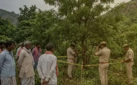 Kapali Action: कपाली में XUV से चार गायें बरामद, पुलिस की घेराबंदी देख वाहन छोड़कर भागा चालक, मची सनसनी 