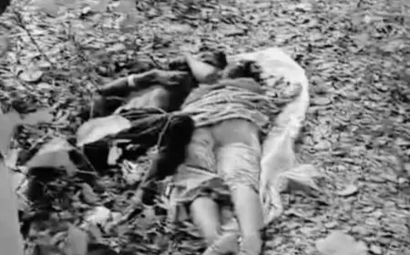 Jamtara Jungle Mystery: जीतपुर जंगल में युवक-युवती के शव एक साथ मिले, पुलिस ने बताया- प्रेम प्रसंग से जुड़ा हो सकता है मामला