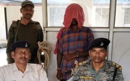 Chaibasa Murder: अवैध संबंध के शक में पति ने पत्नी को लकड़ी के डंडे से पीट-पीटकर मार डाला