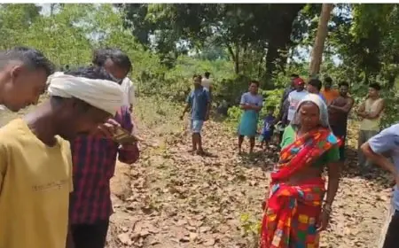Khunti Elephant Attack: जंगली हाथी ने किसान को सूंड़ में लपेटकर बुरी तरह पटका और कुचल दिया