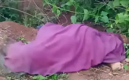 Chakulia Elephant Attack: 72 वर्षीय वृद्धा हाथी के हमले में ढ़ही, ग्रामीणों ने वन विभाग की लापरवाही पर साधा निशाना