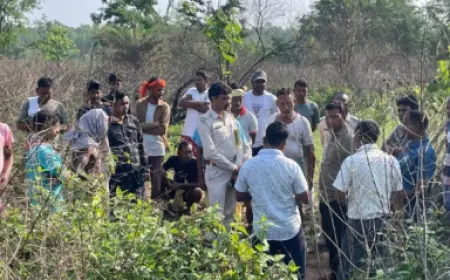 Chandil Elephant Attack: ब्लॉक परिसर से लौटते समय हाथी ने मारी पटक, 50 वर्षीय व्यक्ति की मौत
