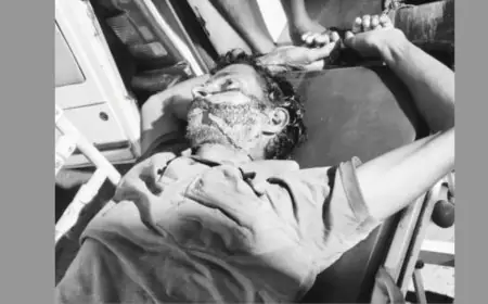Seraikela Hit and Run: उषा कॉलेज मोड़ पर तेज रफ्तार वाहन ने मानसिक रूप से बीमार व्यक्ति को मारी टक्कर, मौत