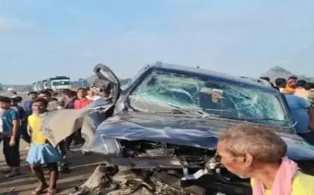 Godda Scorpio Crash: रांची से गुवाहाटी जा रहे परिवार की कार पलटी, एक की मौत, पांच घायल