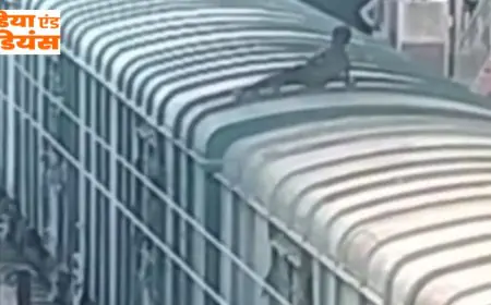 Tatanagar Railway Shock: मालगाड़ी पर चढ़ा युवक हाई टेंशन तार की चपेट में, झुलसा, एमजीएम रेफर