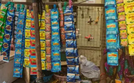Jharkhand Gutka Ban: राज्य में तंबाकू युक्त गुटखा-पान मसाला के निर्माण-बिक्री पर पूर्ण प्रतिबंध, उल्लंघन पर होगी कड़ी कार्रवाई