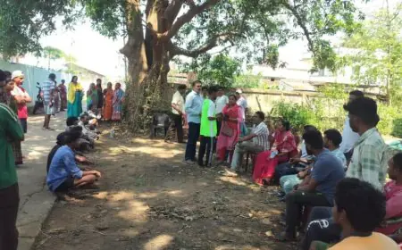 Chaibasa Cow Slaughter: कमरबेड़ा गांव में गाय का कटा सिर मिलने से मचा हड़कंप, 5 पर केस, 4 हिरासत में