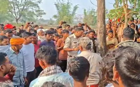 Koderma Mystery: पेट्रोल पंप के पीछे पेड़ से लटका मिला टैंकर चालक का शव, रात भर फोन पर हो रही थी तीखी बहस