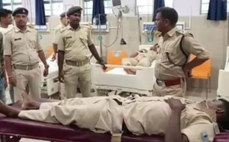 Bokaro Stone Pelting: एयरपोर्ट विस्तार को लेकर अतिक्रमण हटाने गई टीम पर हमला, दो जवान घायल