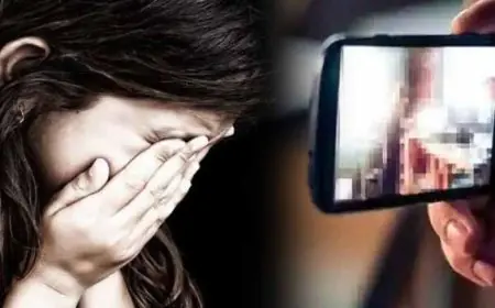 Jugsalai Minor Girl Case: 13 साल की नाबालिग को बहला-फुसलाकर भगाया, अश्लील वीडियो वायरल करने की धमकी