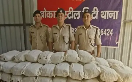 Bokaro Ganja Seizure: बस स्टैंड से बिहार भेजी जाने वाली 47 किलो गांजा की खेप जब्त, कीमत 5-7 लाख