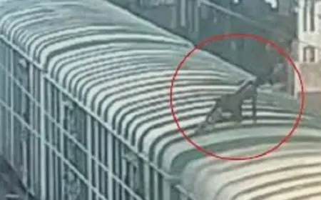 Tatanagar Electrocution: मालगाड़ी पर चढ़ा नाबालिग हाई टेंशन तार की चपेट में आया, 5 दिन बाद तोड़ा दम
