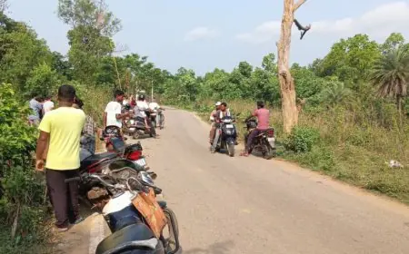 Manoharpur Wedding Accident: बारातियों से भरी पिकअप पलटी, 12 साल के बच्चे समेत दो की मौत, छह घायल