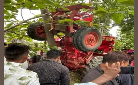 Jamtara Tragedy: जामताड़ा में बालू लदे ट्रैक्टर का तांडव, बाइक सवार की दर्दनाक मौत, पेड़ पर जा चढ़ा वाहन