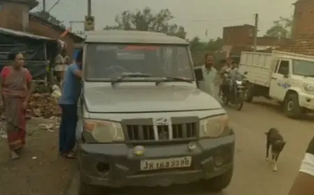 Pakur Murder: शराब के नशे में बेटे ने हसुआ से पिता की हत्या की, आरोपी का घरेलू हिंसा का इतिहास
