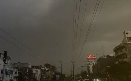 Jharkhand Rain Alert: 19 जिलों में आंधी-पानी का अलर्ट, 50-60 किमी/घंटा की रफ्तार से हवा
