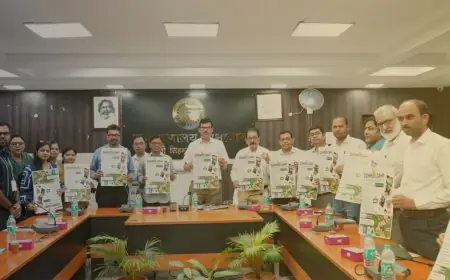Jamshedpur Health Review: डीसी राजीव रंजन ने की समीक्षा, ग्रामीण इलाकों में टीकाकरण-कुपोषण प्रबंधन पर बल