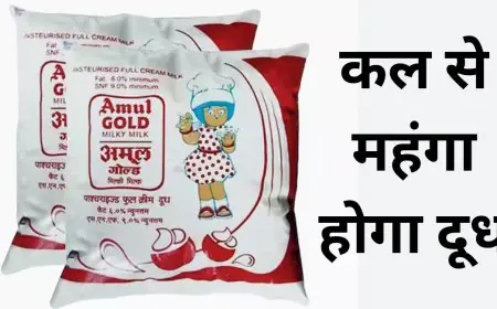 Amul Milk Price Hike : कल से महंगा होगा दूध, प्रति लीटर 2 रुपये बढ़ी कीमतें, महंगाई की आग में झुलसा आम आदमी का बजट