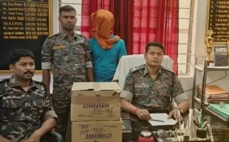 Palamu Liquor Seizure: हुसैनाबाद में एक्सयूवी से 100 बोतल अवैध टनाका शराब बरामद, चालक गिरफ्तार