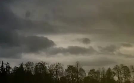 Jharkhand Weather Alert: 16-21 मई तक खराब मौसम, 50-60 किमी/घंटा की हवा, 17-18 को ऑरेंज अलर्ट