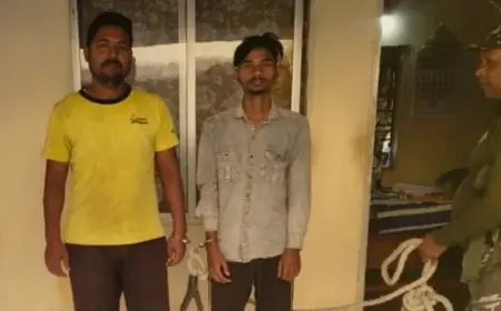 Bodam Cattle Smuggling : लग्जरी इनोवा कार से हो रही थी मवेशियों की तस्करी, मानगो के अहमद समेत दो तस्कर गिरफ्तार