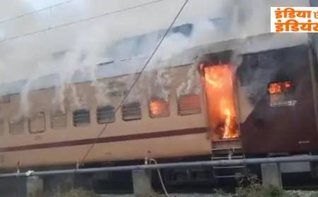 Sasaram Inferno :  प्लेटफॉर्म पर खड़ी इंटरसिटी एक्सप्रेस की बोगी बनी आग का गोला, सामान छोड़कर जान बचाकर भागे सहमे यात्री, रेलवे की बड़ी लापरवाही उजागर