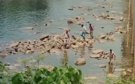 Bagbera Shock: बड़ौदा घाट पर खरकई नदी में तैरता मिला नवजात का क्षत-विक्षत शव, दो जिलों की पुलिस में सीमा विवाद, लोकलाज का खूनी सस्पेंस