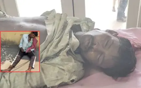 Mango Tragedy: डिमना रोड ब्लू बेल्स स्कूल के पास भीषण लू से अज्ञात मजदूर की तड़पकर मौत, सड़क पर चलते-चलते अचानक खाया चक्कर
