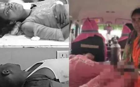 Jamshedpur Bike Accident : बिल्ली बचाने के चक्कर में पलटी बाइक, दंपती घायल
