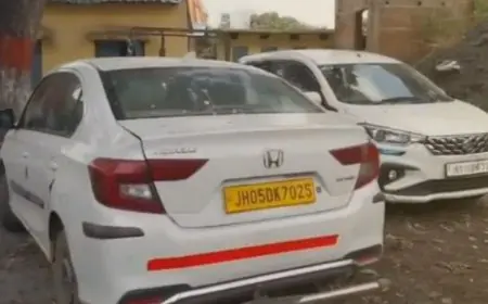 Chatra Simaria Road: दो कारों से 324 किलो अफीम बरामद, तस्कर अंधेरे में फरार