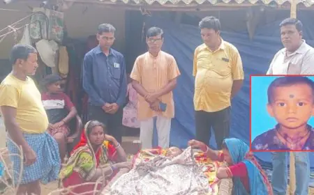 Baharagora Tragedy : बिजली गुल होने पर छत पर सोया था परिवार, आधी रात को 5 साल का इकलौता लाडला नीचे गिरा, बहरागोड़ा अस्पताल पहुंचने से पहले दम तोड़ा