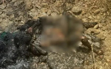 Kapali Crime: बाबन बीघा के जंगलों में मिला अज्ञात युवक का जला हुआ शव, हाथ की अंगूठी और रहस्यमयी आधार कार्ड से कपाली में मची भारी सनसनी