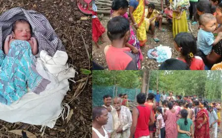 Jadugora Abandoned :  झाड़ियों के पास मिली रोती हुई नवजात बच्ची, कलयुगी मां खुले आसमान के नीचे छोड़ हुई फरार!