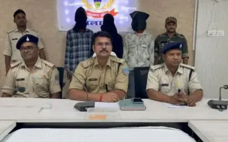 Mango Crash: चेपा पुल के पास बेकाबू तेज रफ्तार ऑडी मैरेज हॉल की दीवार से टकराई, बड़ा हादसा टला!