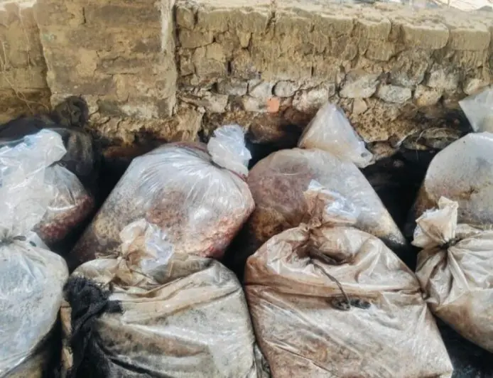 Chaibasa Raid : टोकलो में 1600 किलो महुआ और 40 लीटर देसी शराब बरामद, पांच भट्टियां ध्वस्त