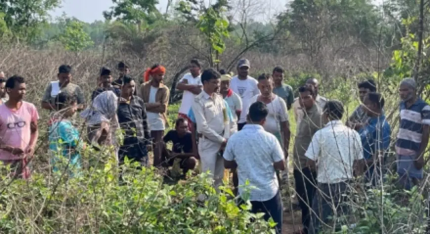 Chandil Elephant Attack: ब्लॉक परिसर से लौटते समय हाथी ने मारी पटक, 50 वर्षीय व्यक्ति की मौत