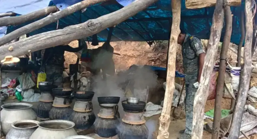 Chakradharpur Raid: नदी किनारे चल रही थी 6 चुलाई भट्टियां, 3200 किलो महुआ और 60 लीटर शराब नष्ट