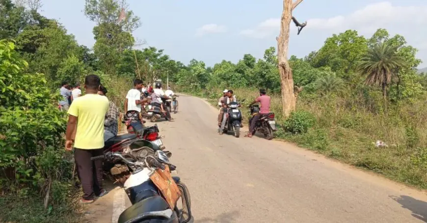 Manoharpur Wedding Accident: बारातियों से भरी पिकअप पलटी, 12 साल के बच्चे समेत दो की मौत, छह घायल