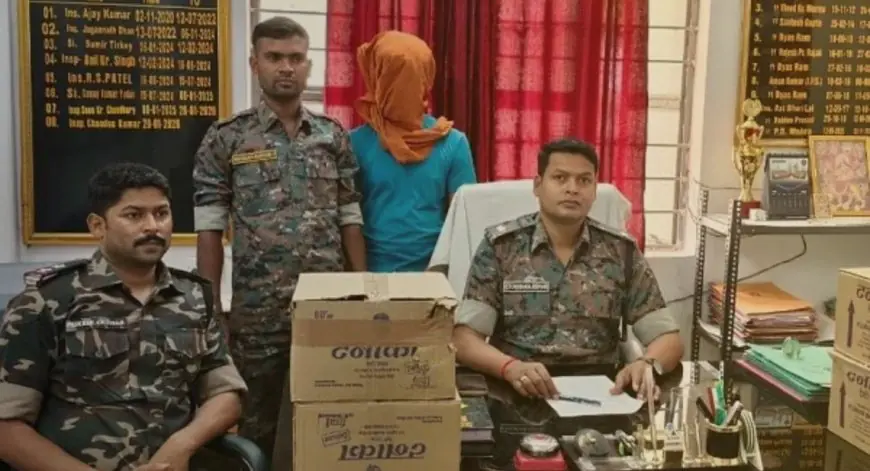 Palamu Liquor Seizure: हुसैनाबाद में एक्सयूवी से 100 बोतल अवैध टनाका शराब बरामद, चालक गिरफ्तार
