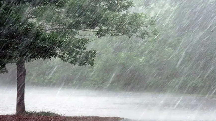 Jharkhand Orange Alert: 16 जिलों में तूफानी बारिश का अलर्ट, 50-60 किमी/घंटा की रफ्तार से हवा