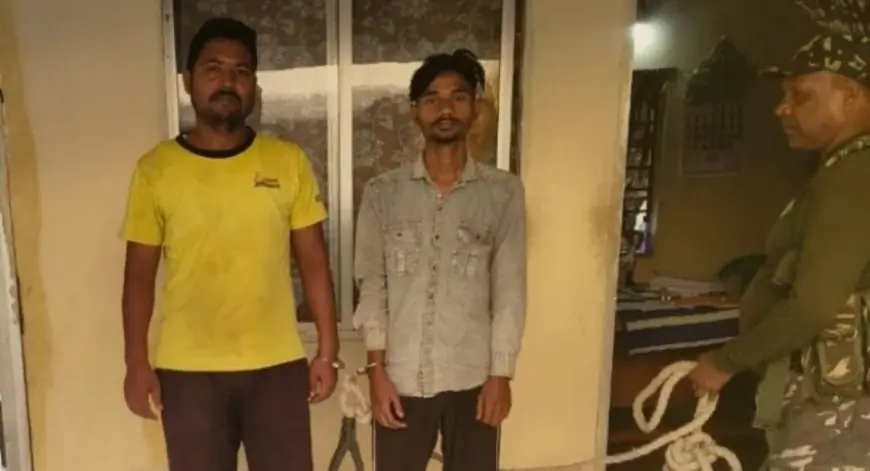 Bodam Cattle Smuggling : लग्जरी इनोवा कार से हो रही थी मवेशियों की तस्करी, मानगो के अहमद समेत दो तस्कर गिरफ्तार