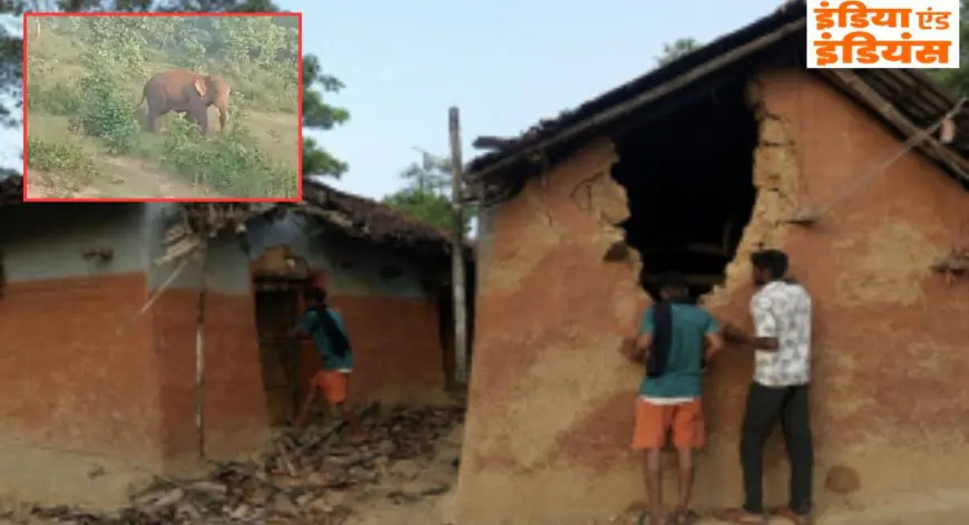 Chandil Terror: आधी रात गांवों में घुसा खूंखार 'लोन एलीफेंट', पांच घरों को मटियामेट कर चट कर गया सारा अनाज
