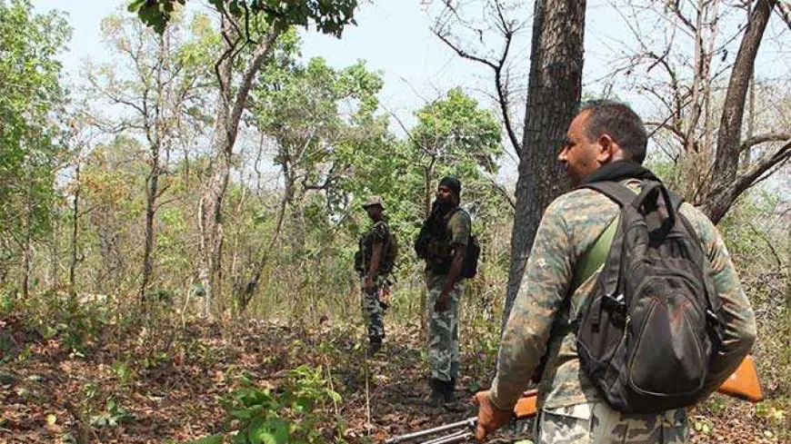 Chaibasa Encounter: पोड़ाहाट के घने जंगलों में सुरक्षाबलों और नक्सलियों के बीच भीषण एनकाउंटर, 2 माओवादियों के ढेर होने की खबर