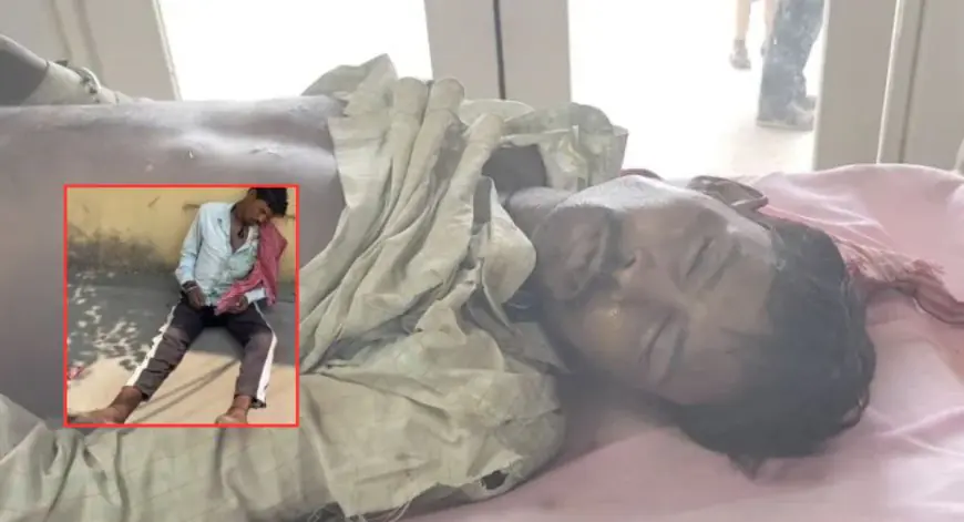 Mango Tragedy: डिमना रोड ब्लू बेल्स स्कूल के पास भीषण लू से अज्ञात मजदूर की तड़पकर मौत, सड़क पर चलते-चलते अचानक खाया चक्कर