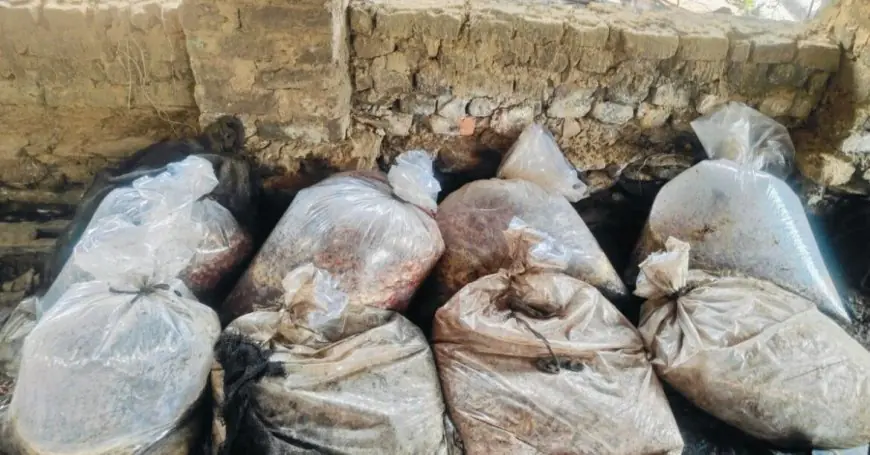 Chaibasa Raid : टोकलो में 1600 किलो महुआ और 40 लीटर देसी शराब बरामद, पांच भट्टियां ध्वस्त
