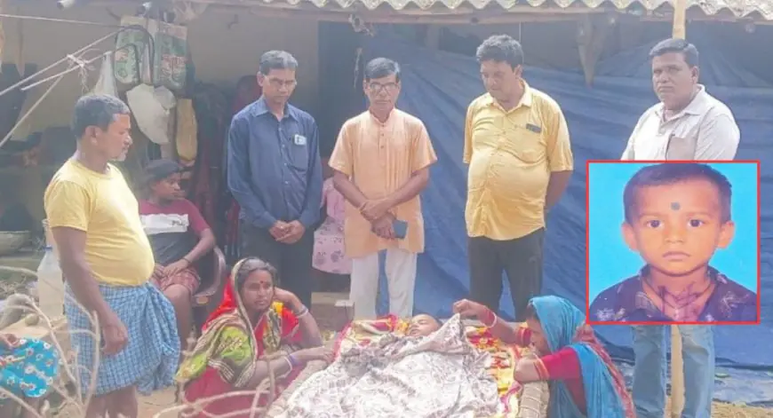 Baharagora Tragedy : बिजली गुल होने पर छत पर सोया था परिवार, आधी रात को 5 साल का इकलौता लाडला नीचे गिरा, बहरागोड़ा अस्पताल पहुंचने से पहले दम तोड़ा