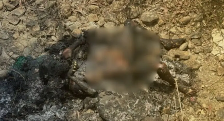 Kapali Crime: बाबन बीघा के जंगलों में मिला अज्ञात युवक का जला हुआ शव, हाथ की अंगूठी और रहस्यमयी आधार कार्ड से कपाली में मची भारी सनसनी