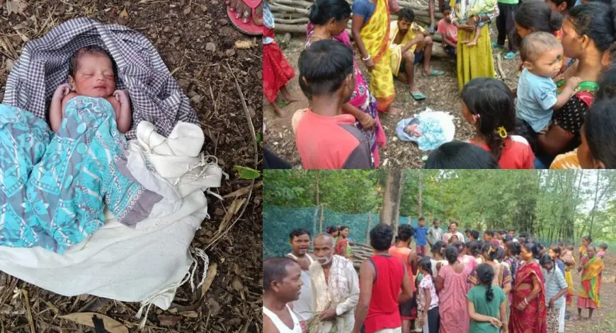 Jadugora Abandoned :  झाड़ियों के पास मिली रोती हुई नवजात बच्ची, कलयुगी मां खुले आसमान के नीचे छोड़ हुई फरार!